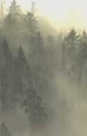 Holy war - XMAS - prima parte
